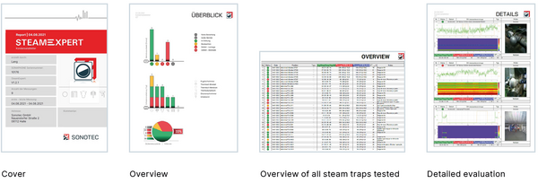 Preventive Maintenance SteamExpert Report